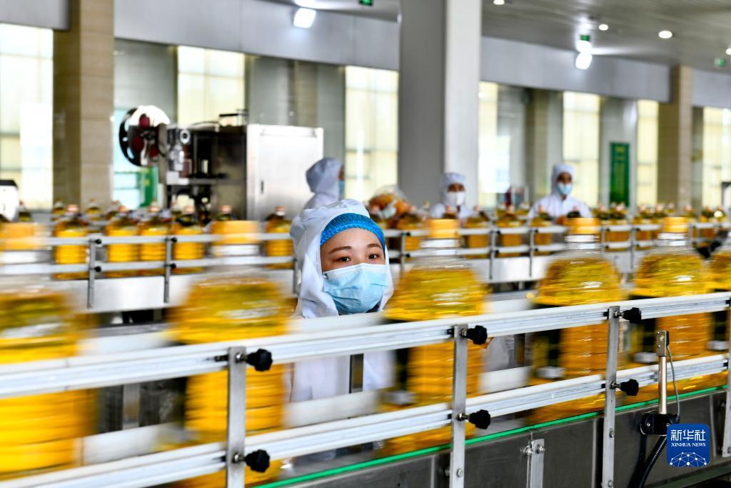 白菜网大全